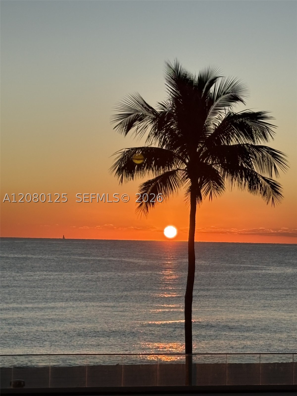 17555 Collins Ave #308 Sunny Isles Beach, FL 33160