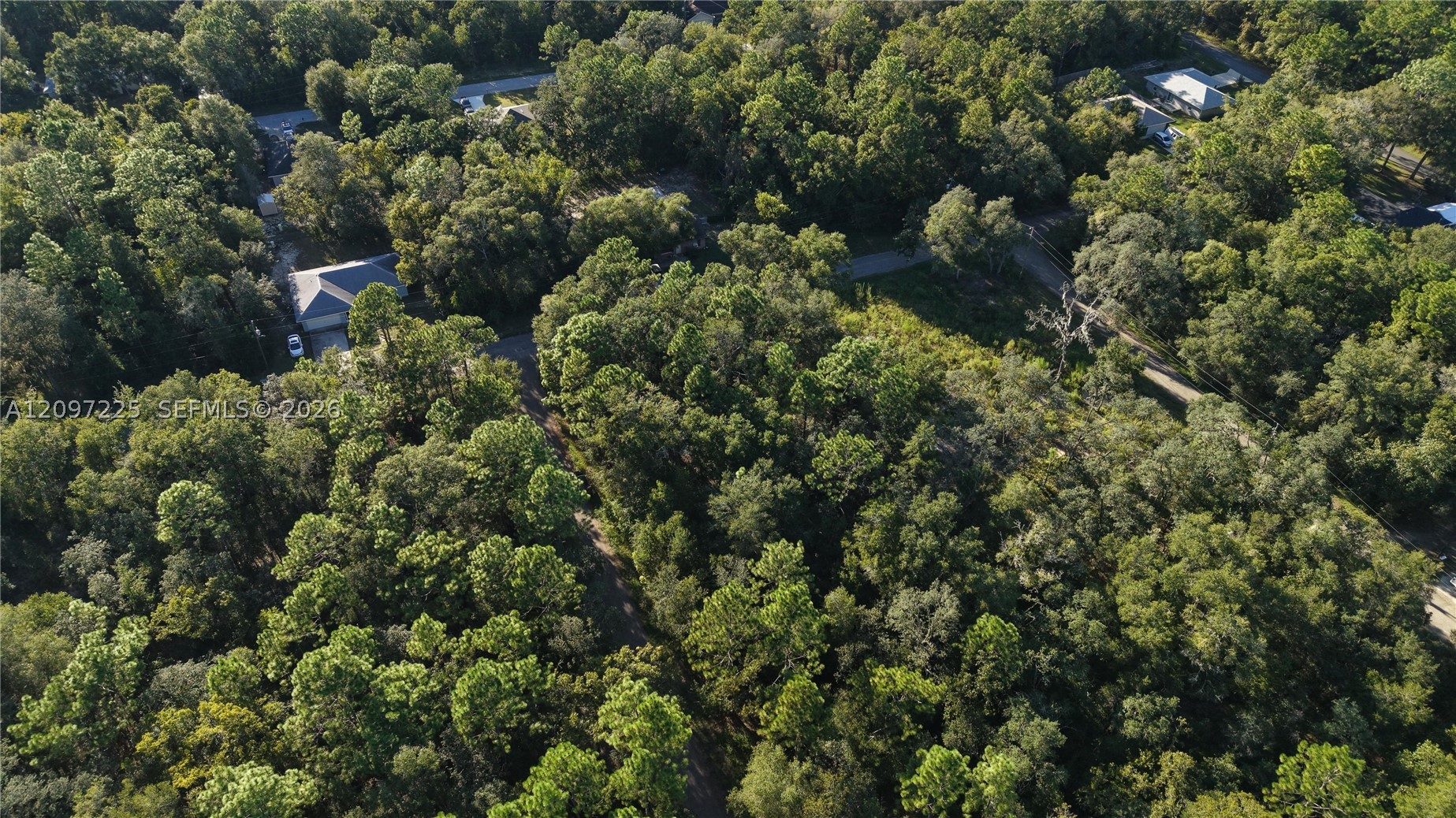 3109 E Millside Ln Inverness, FL 34453
