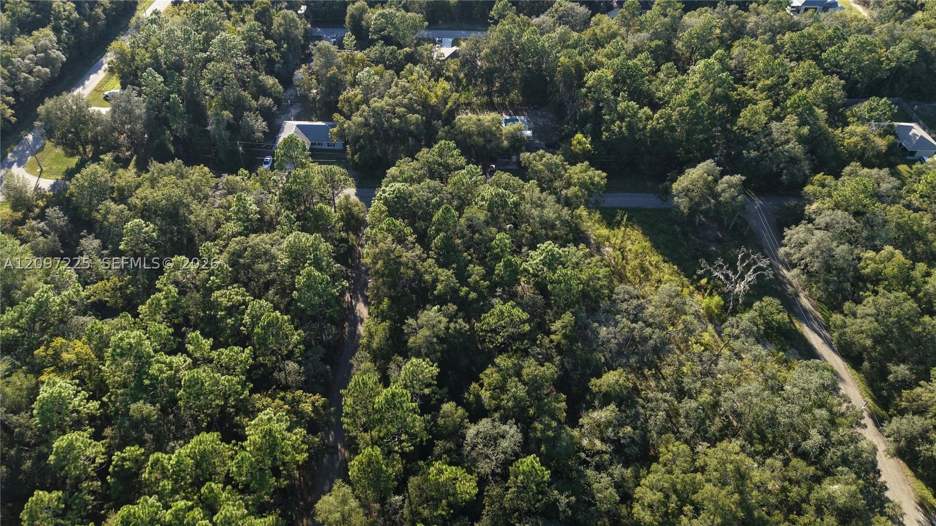 3109 E Millside Ln Inverness, FL 34453