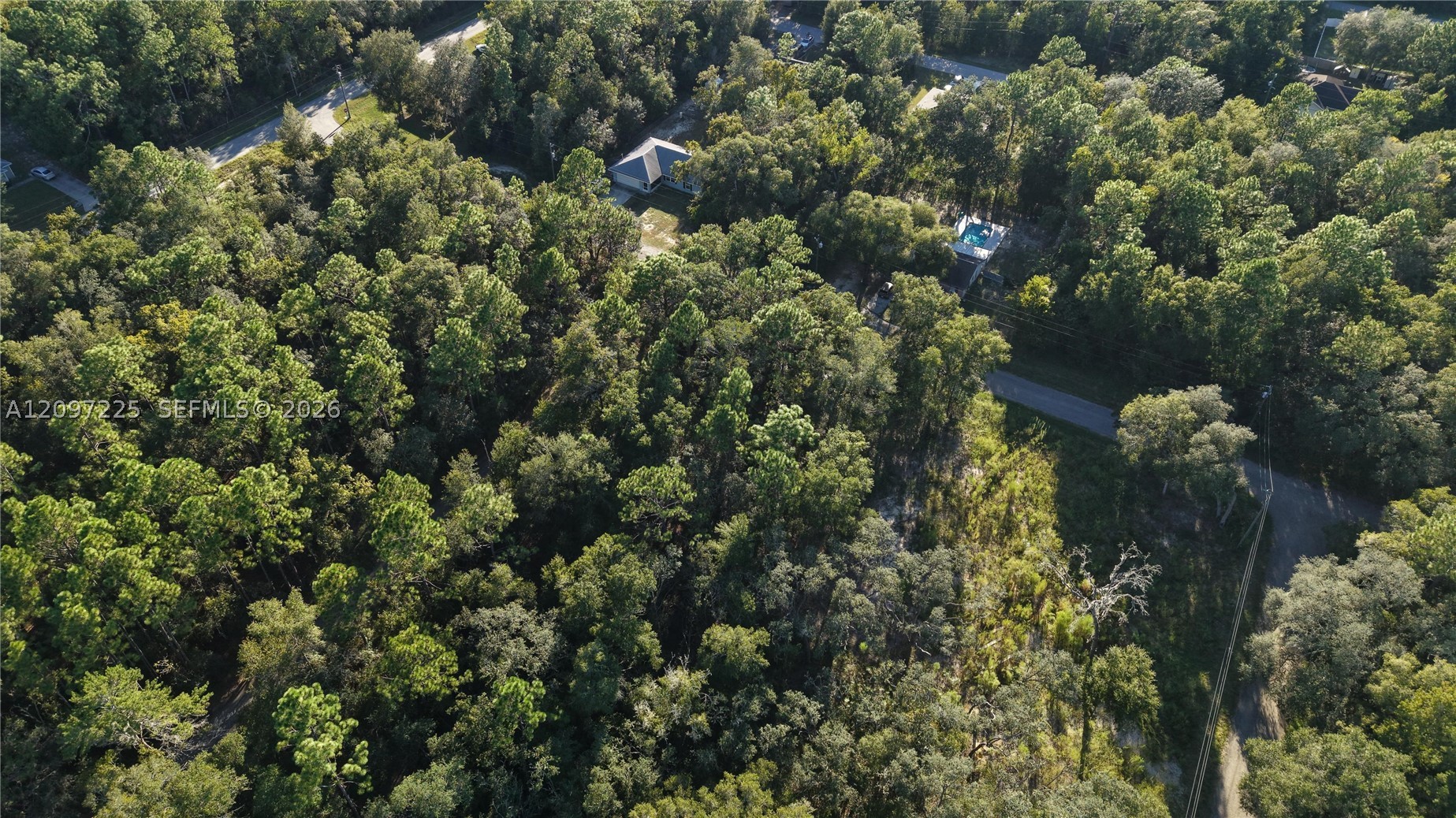 3109 E Millside Ln Inverness, FL 34453
