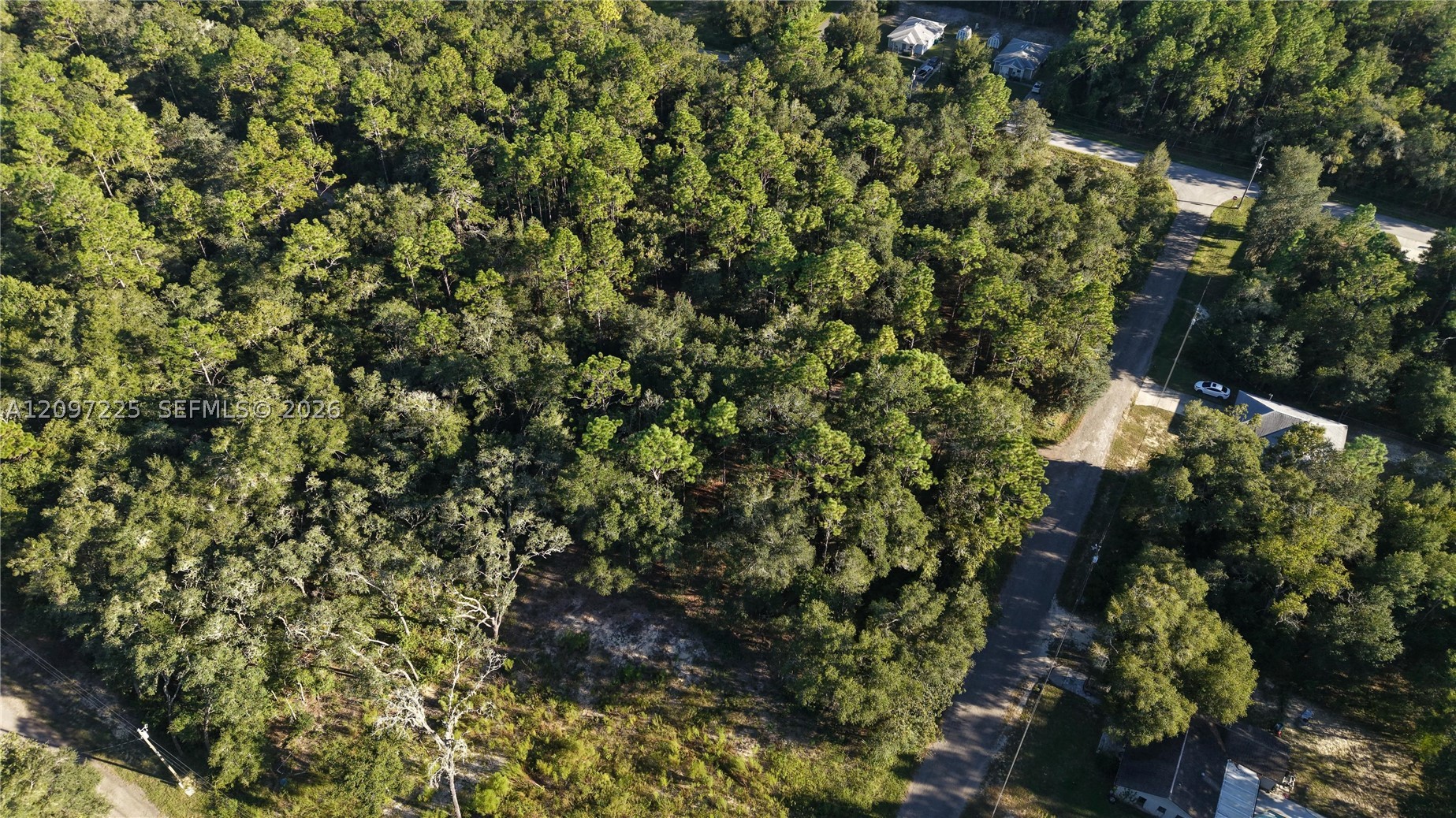 3109 E Millside Ln Inverness, FL 34453