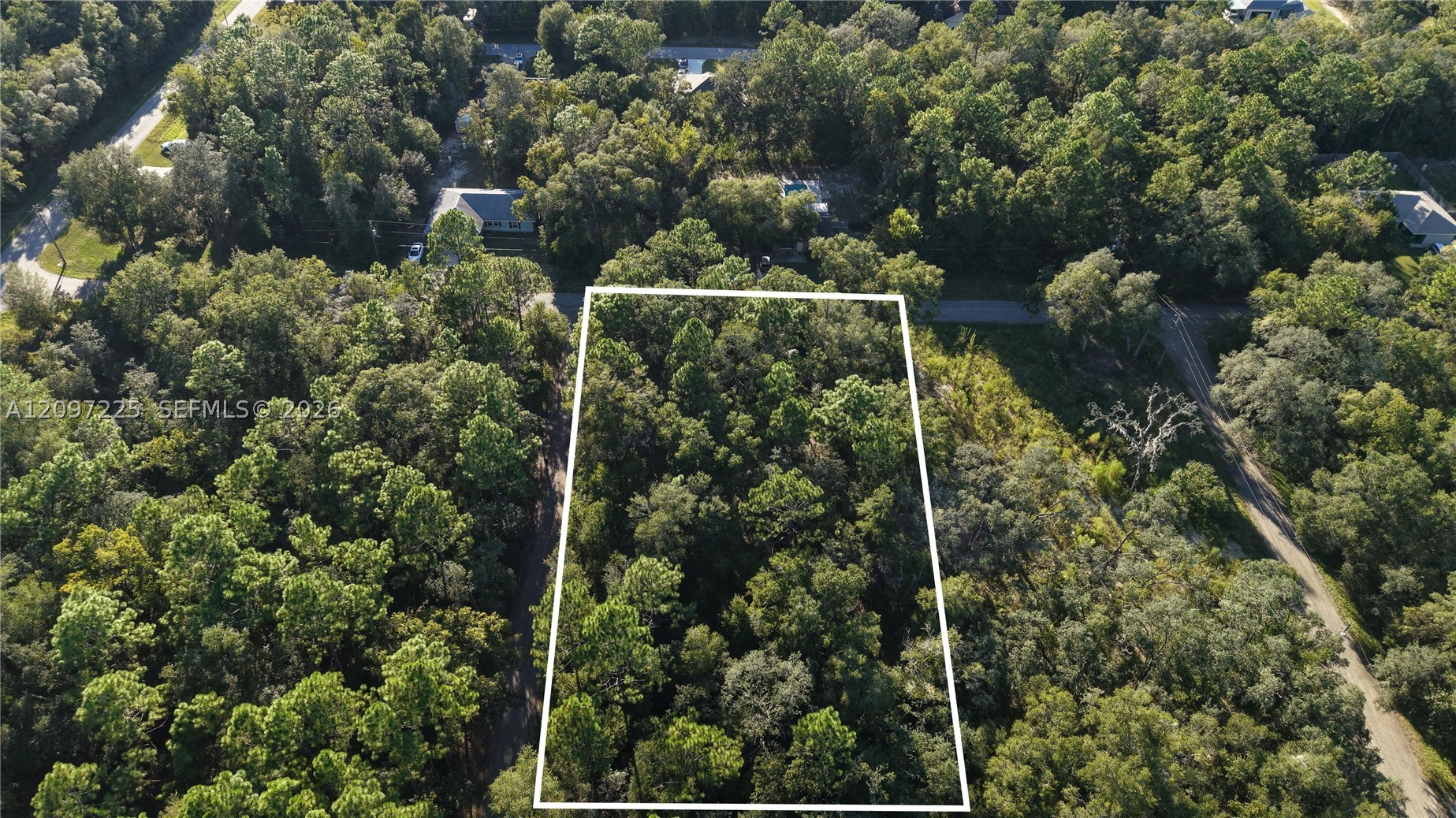 3109 E Millside Ln Inverness, FL 34453