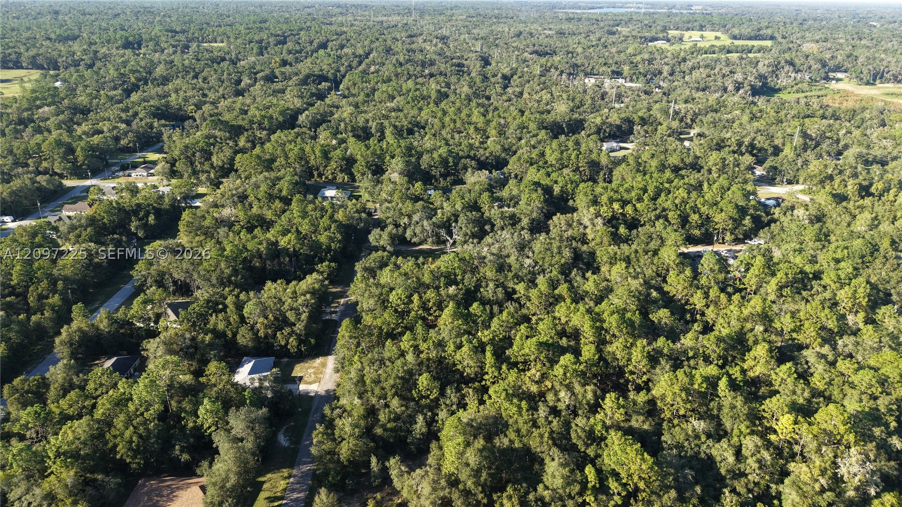 3109 E Millside Ln Inverness, FL 34453