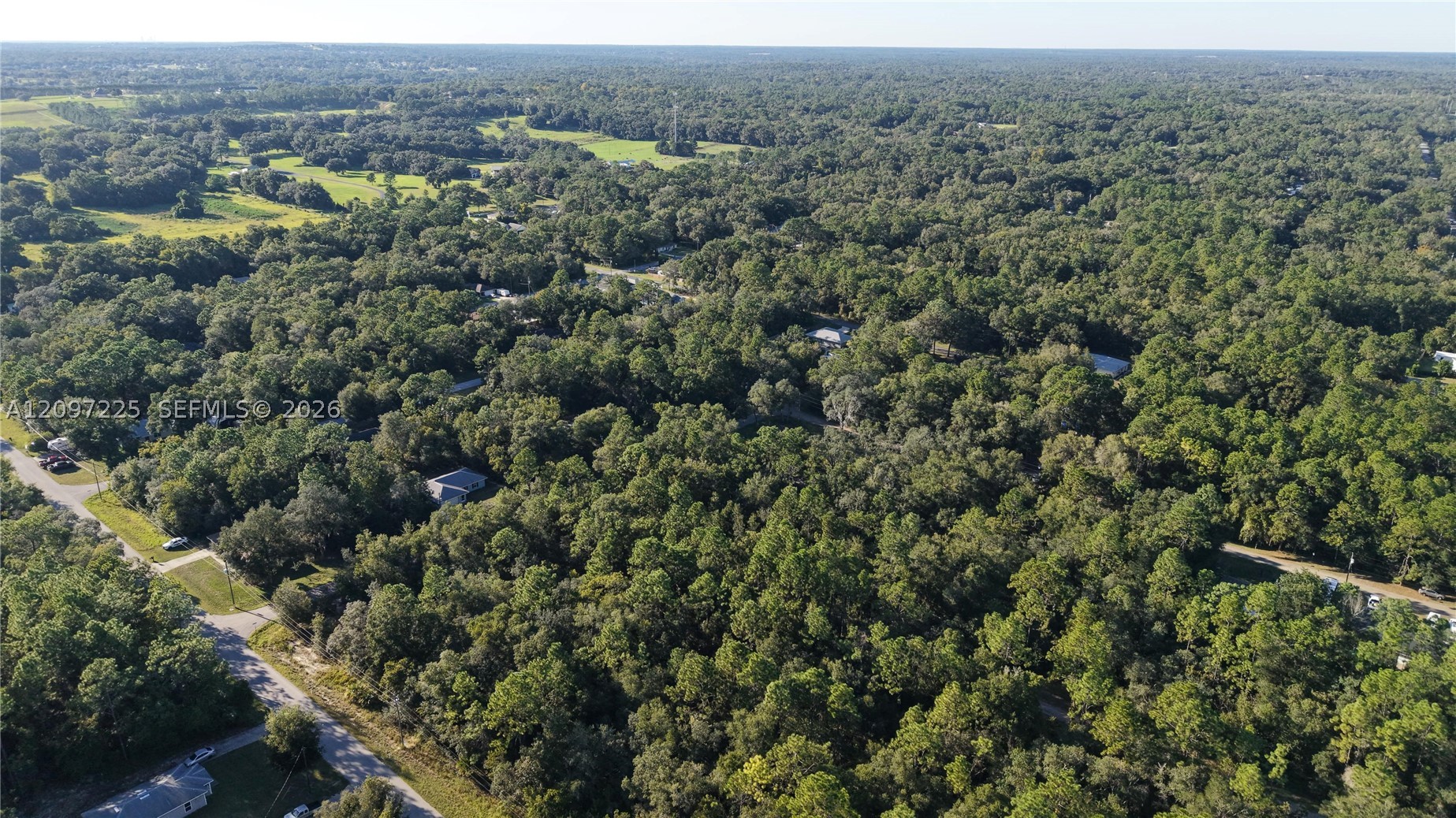 3109 E Millside Ln Inverness, FL 34453