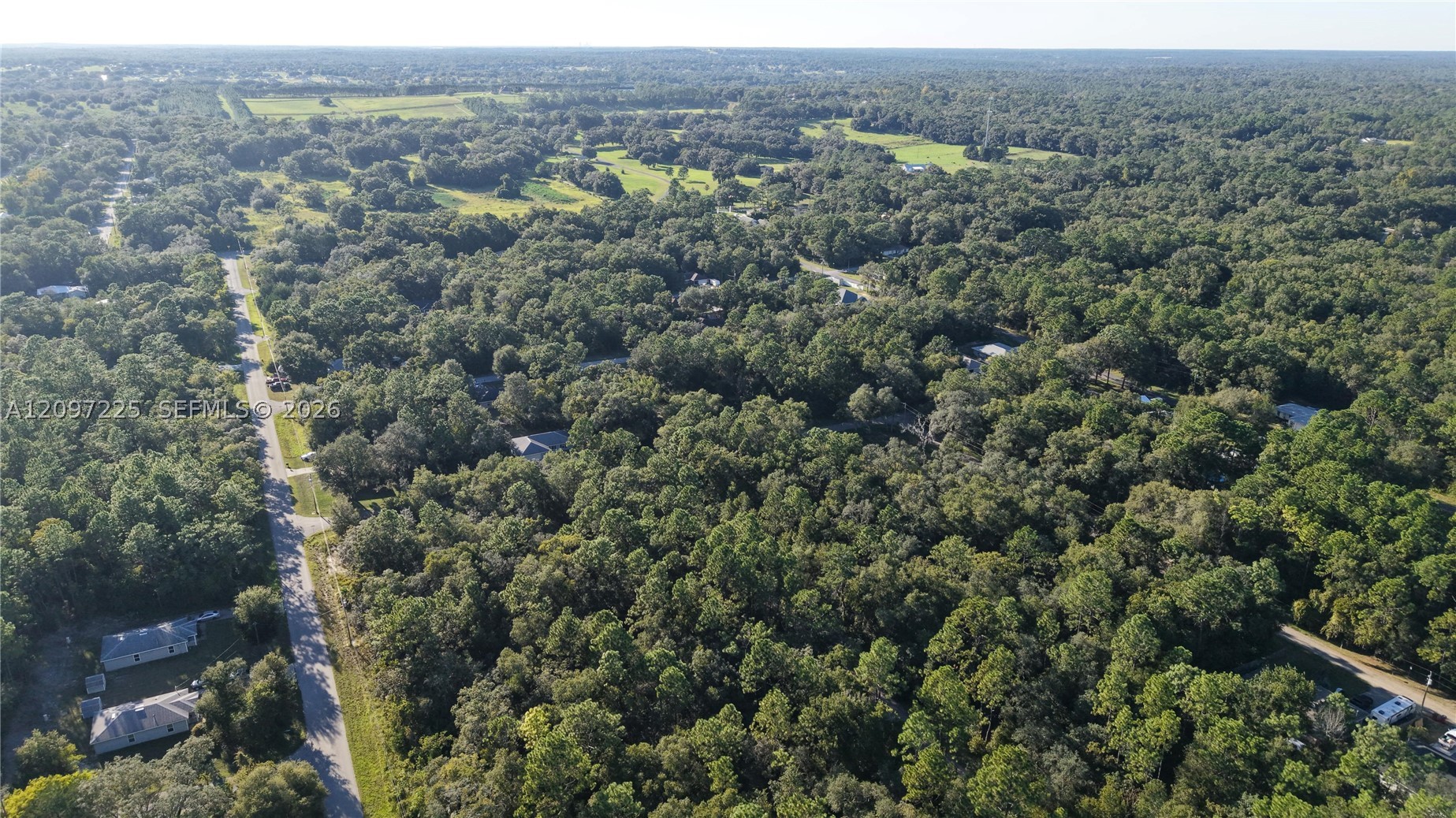 3109 E Millside Ln Inverness, FL 34453