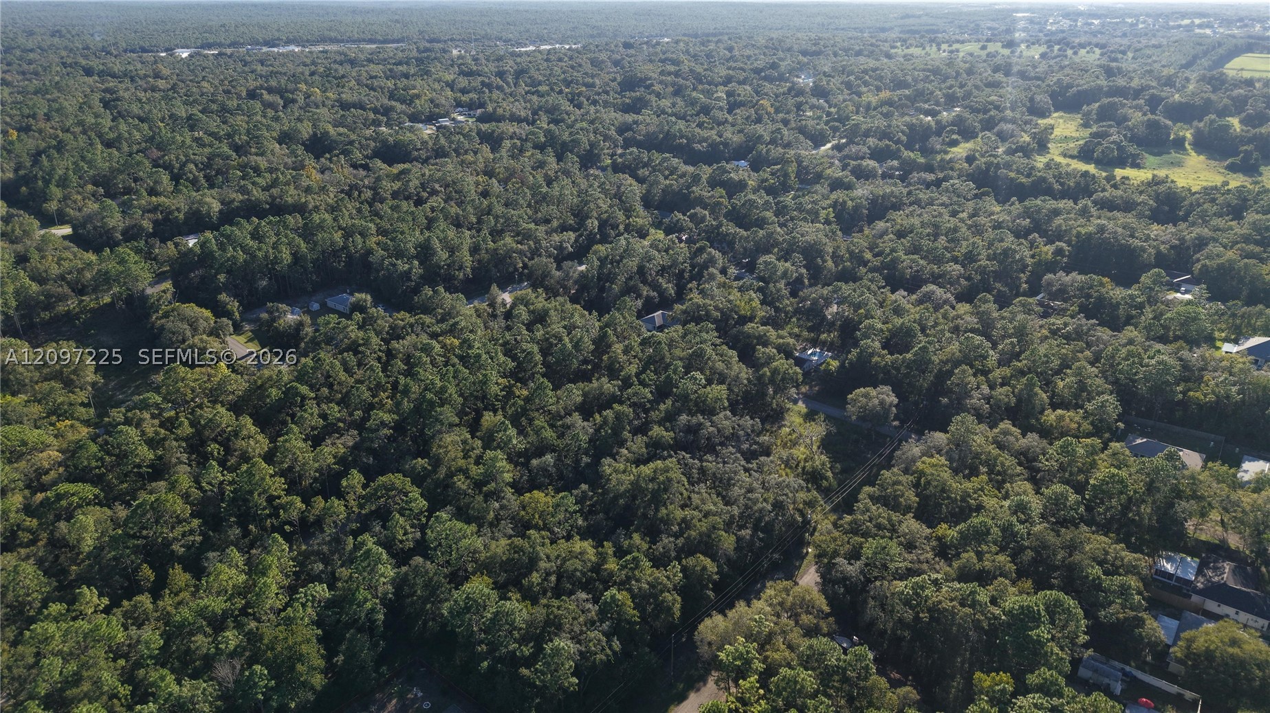 3109 E Millside Ln Inverness, FL 34453