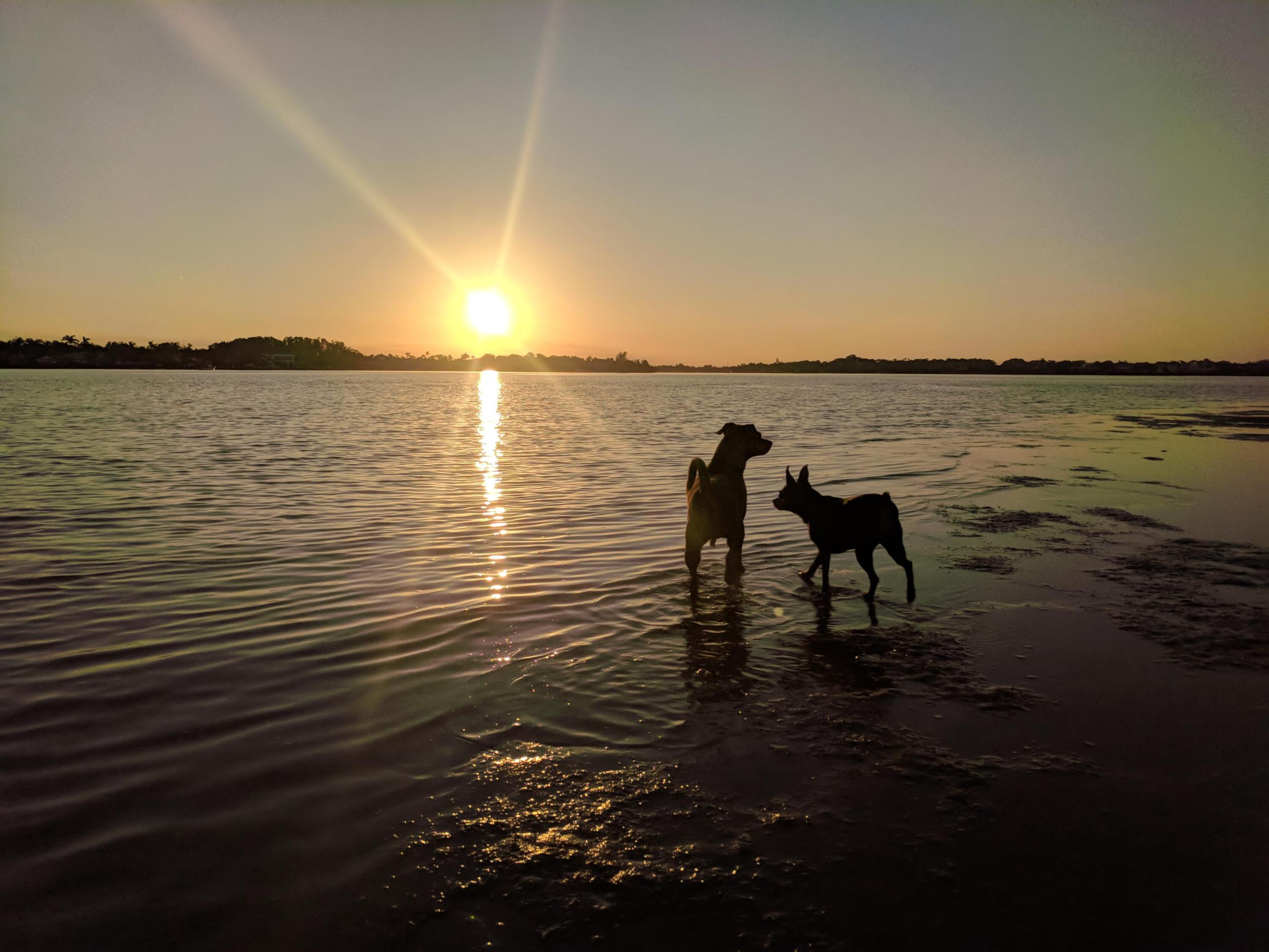 6375 Riverwalk Ln #4 Jupiter, FL 33458