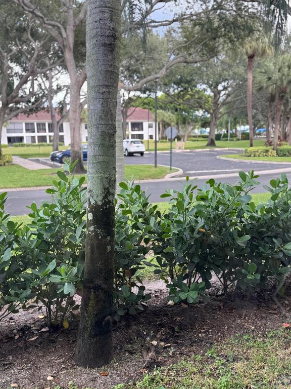 5394 Firenze #H Boynton Beach, FL 33437