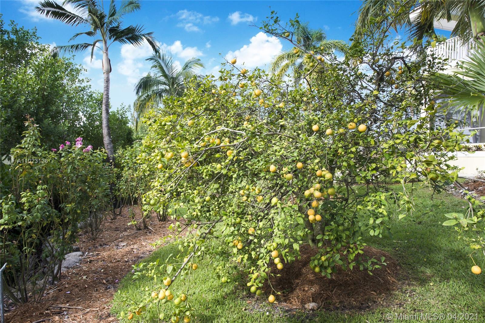 11098 Marin St Coral Gables, FL 33156