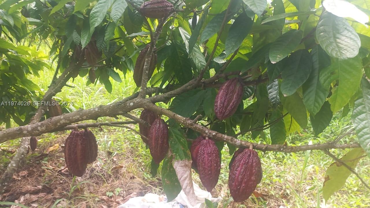 KM 40 Via Naranjal-guayas 