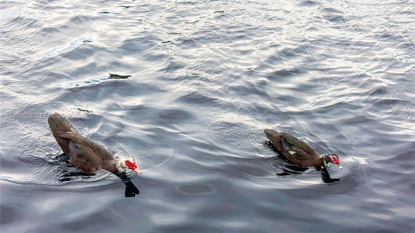 6610 E Miami Lks Dr Miami Lakes, FL 33014