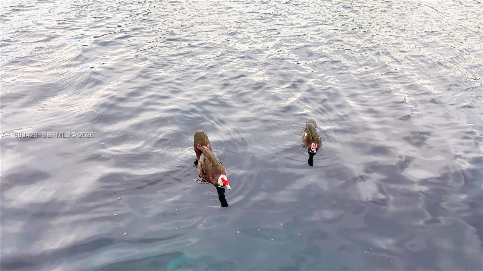 6610 E Miami Lks Dr Miami Lakes, FL 33014