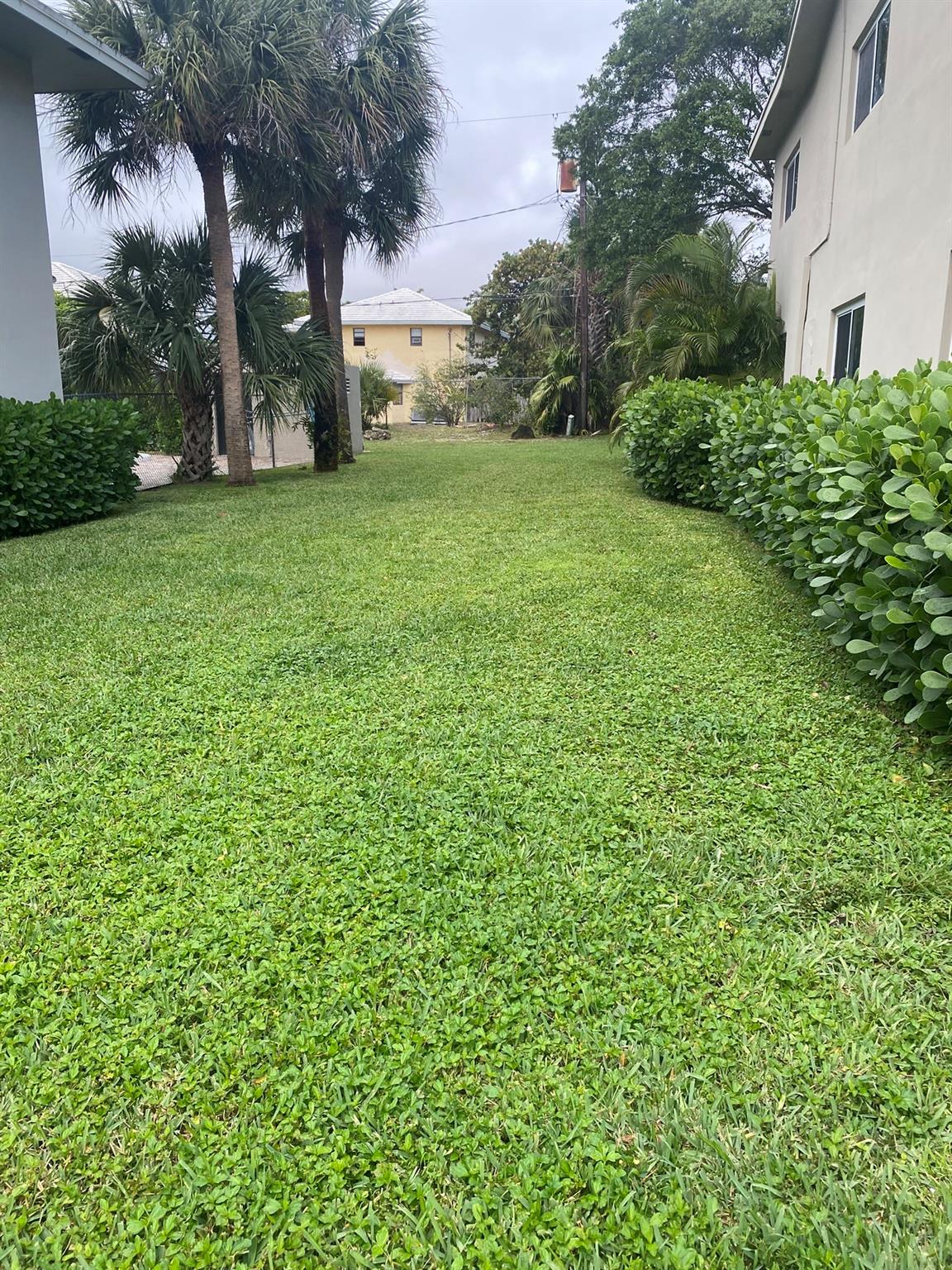 225 SW 7th St #101,Boca Raton, FL 33432