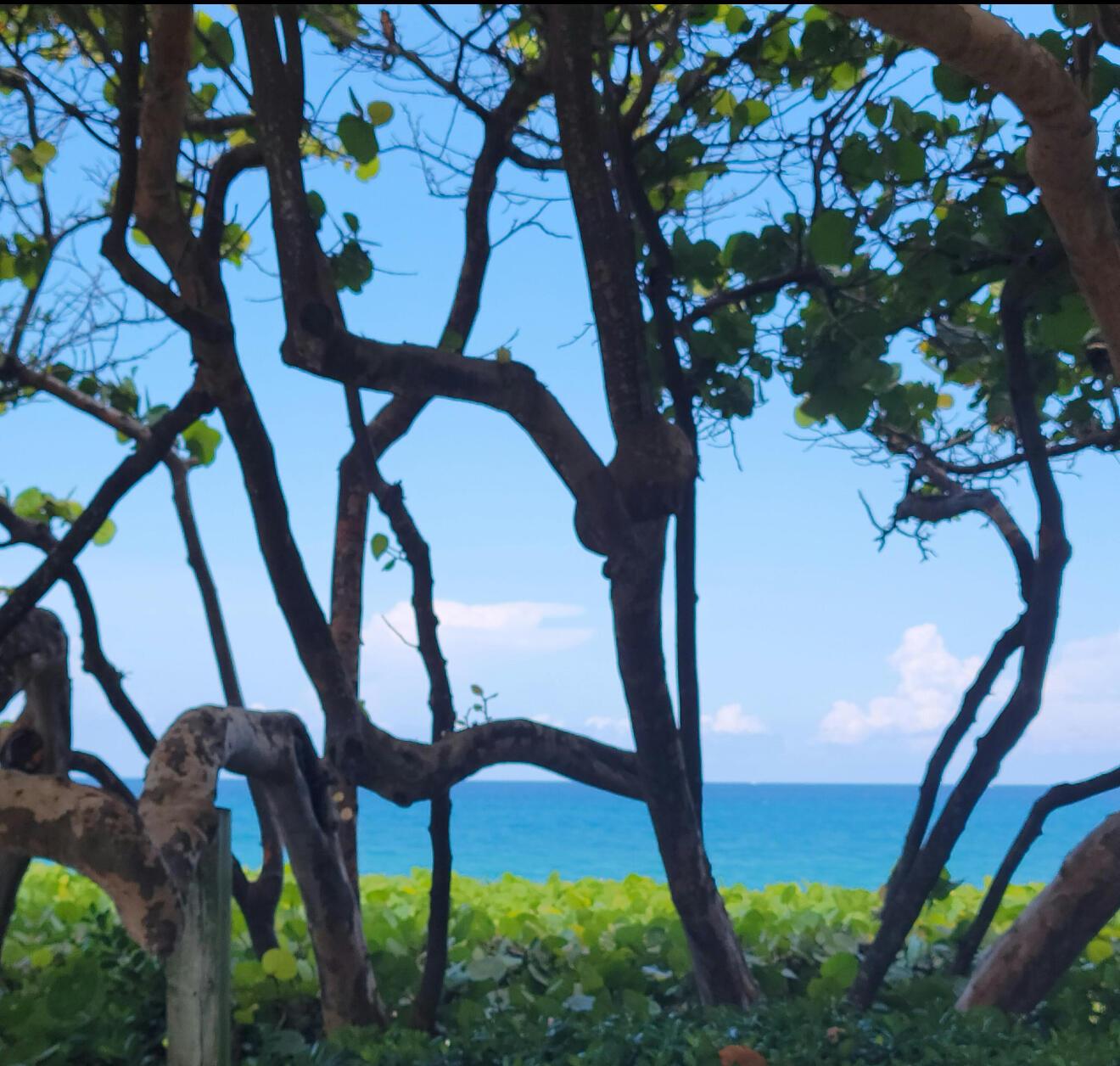 1909 19th Ct #33a Jupiter, FL 33477