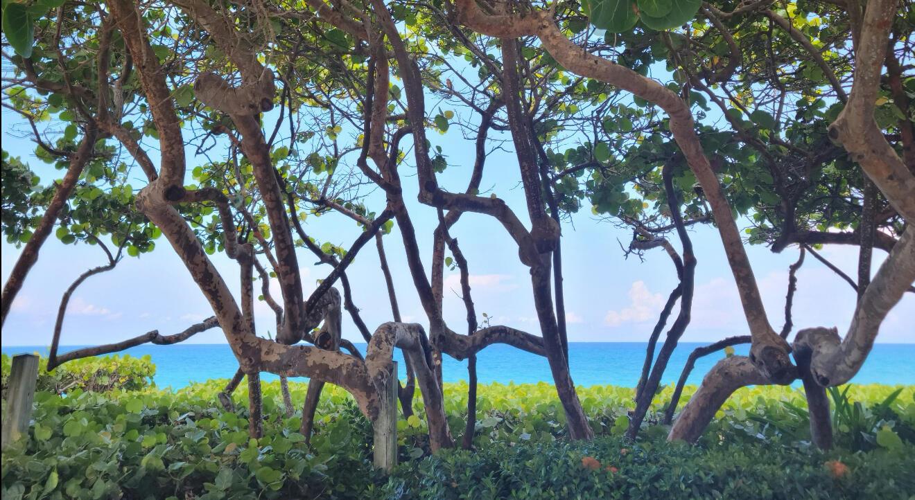 1909 19th Ct #33a Jupiter, FL 33477