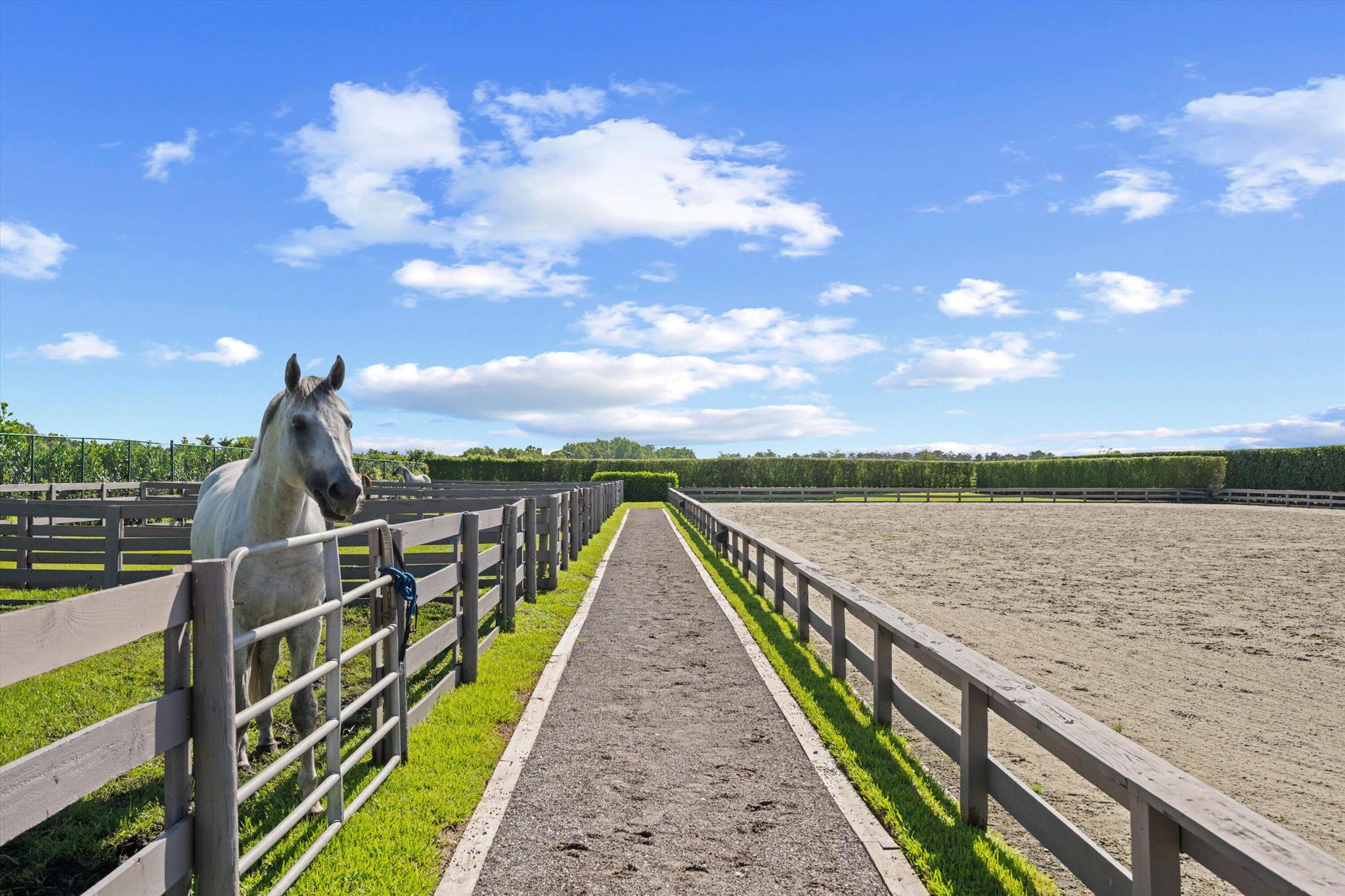 3508 Grand Prix Farms Dr Wellington, FL 33414