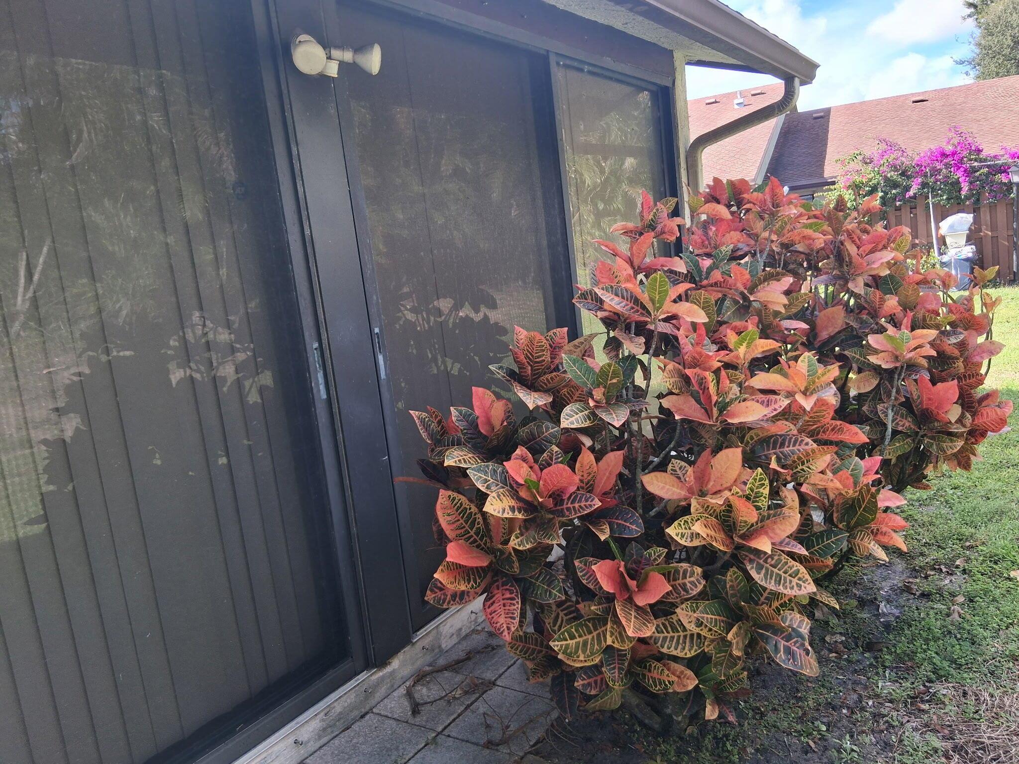 3789 Cocoloba Ln Boynton Beach, FL 33436