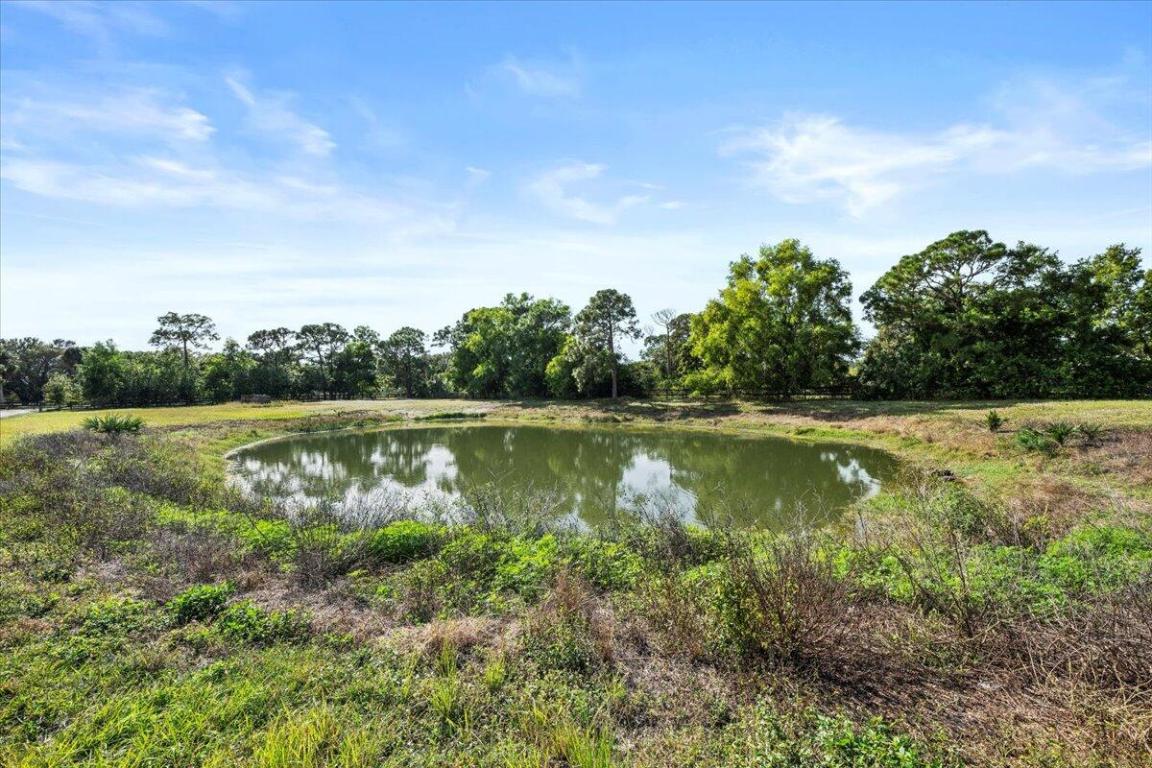 19187 Capet Crk Ct Loxahatchee, FL 33470