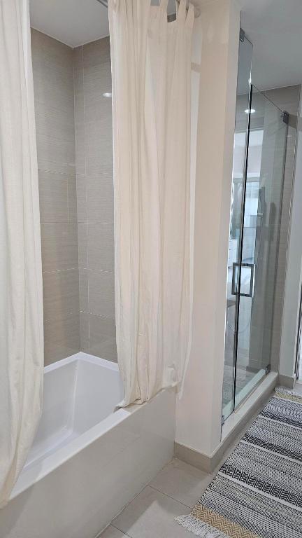 851 NE 1st #306 Miami, FL 33132