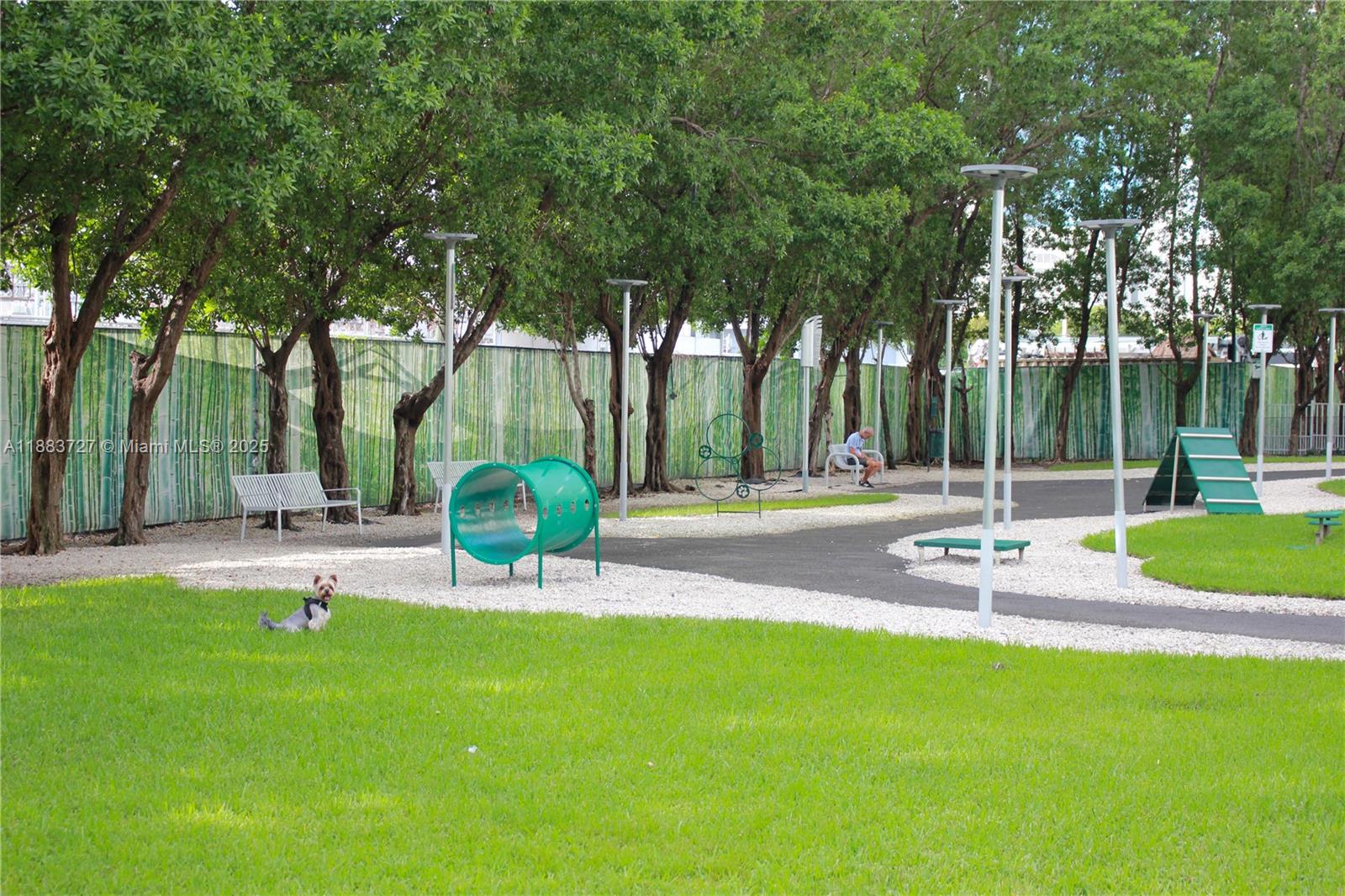 image 65