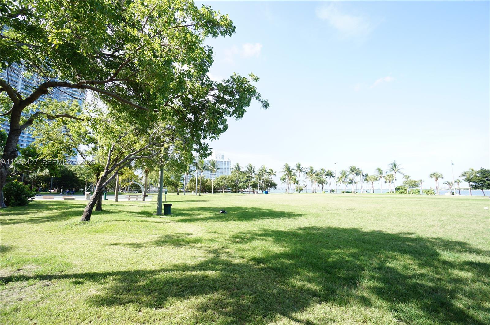 image Quantum on the Bay20