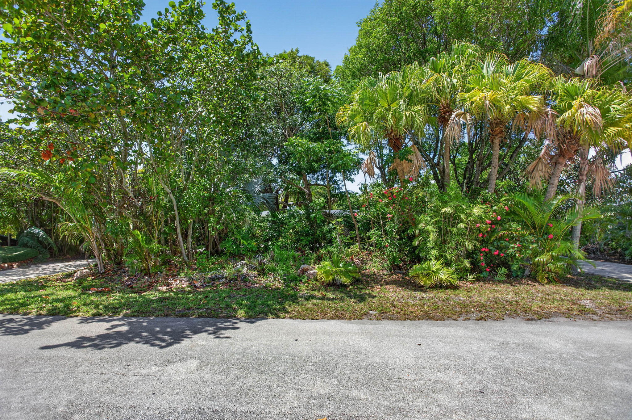 2614 NE 15th Fort Lauderdale, FL 33304