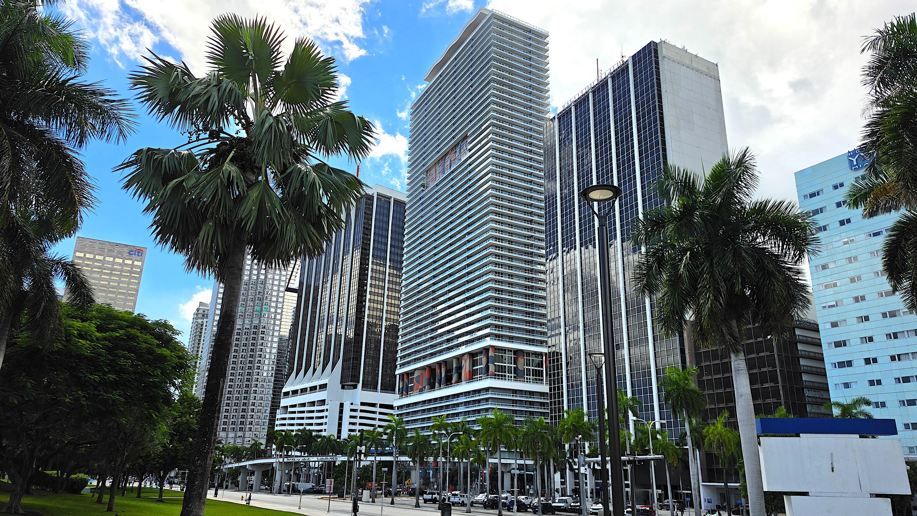 image 50 Biscayne41