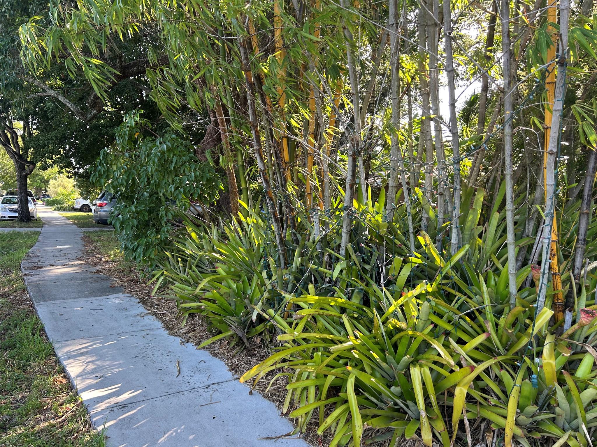 281 Florida Ave
