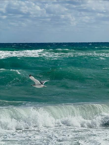 722 Ocean Dunes Jupiter, FL 33477