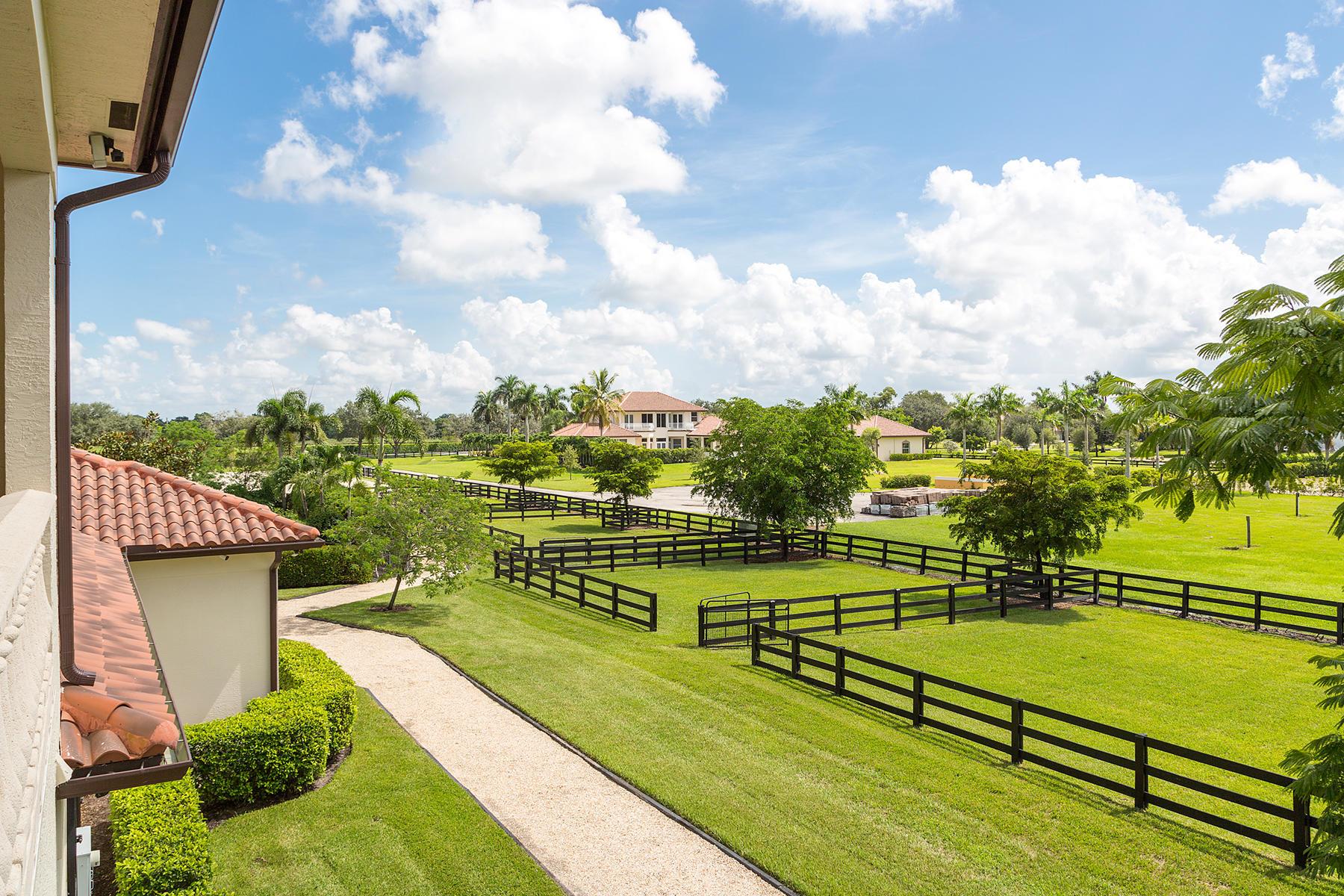 3310 Palm Bch Pt Blvd #(Barn & Apartment) Wellington, FL 33414