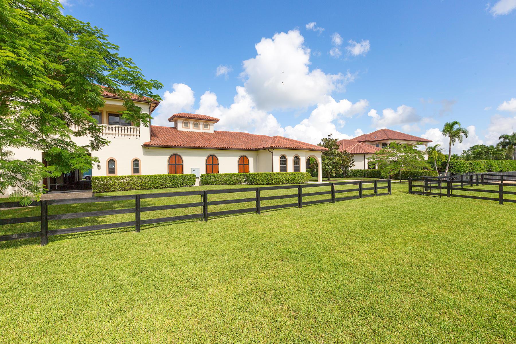 3310 Palm Bch Pt Blvd #(Barn & Apartment) Wellington, FL 33414