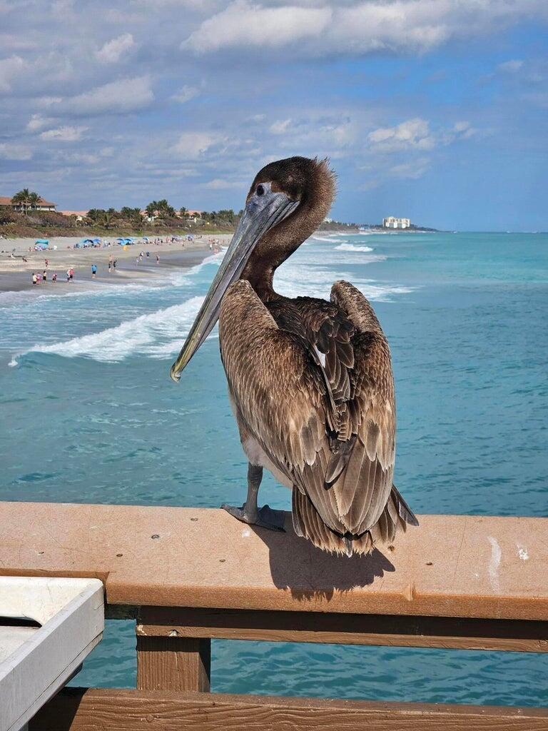 501 Mainsail Cir Jupiter, FL 33477