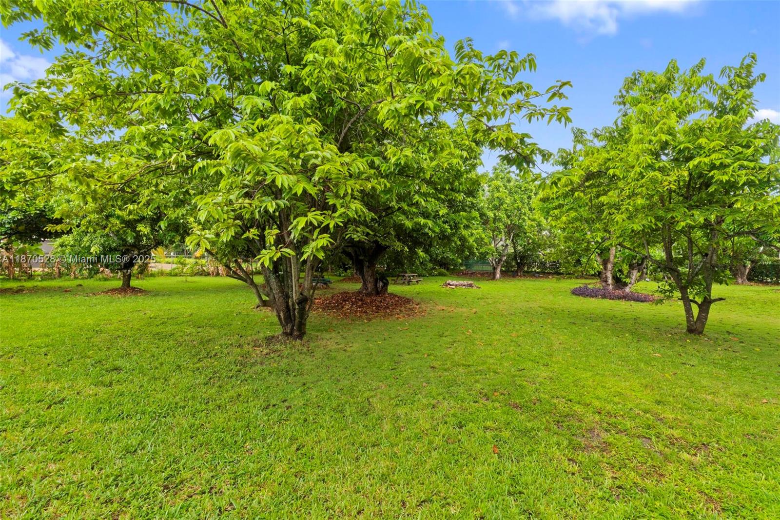 6539 SW 84th Ave Miami, FL 33143