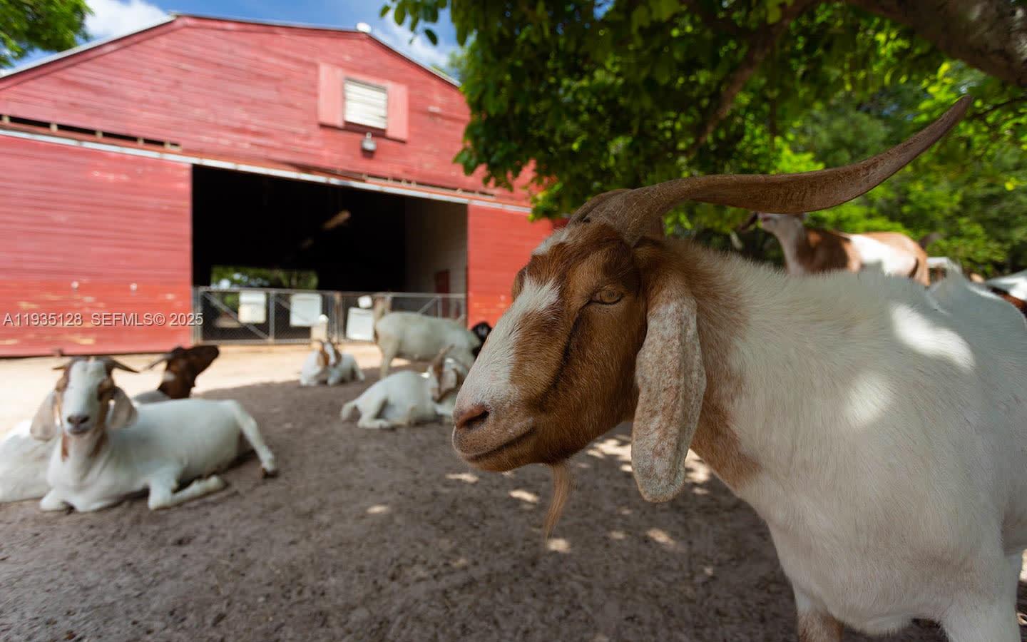 895 W 79th Pl Hialeah, FL 33014