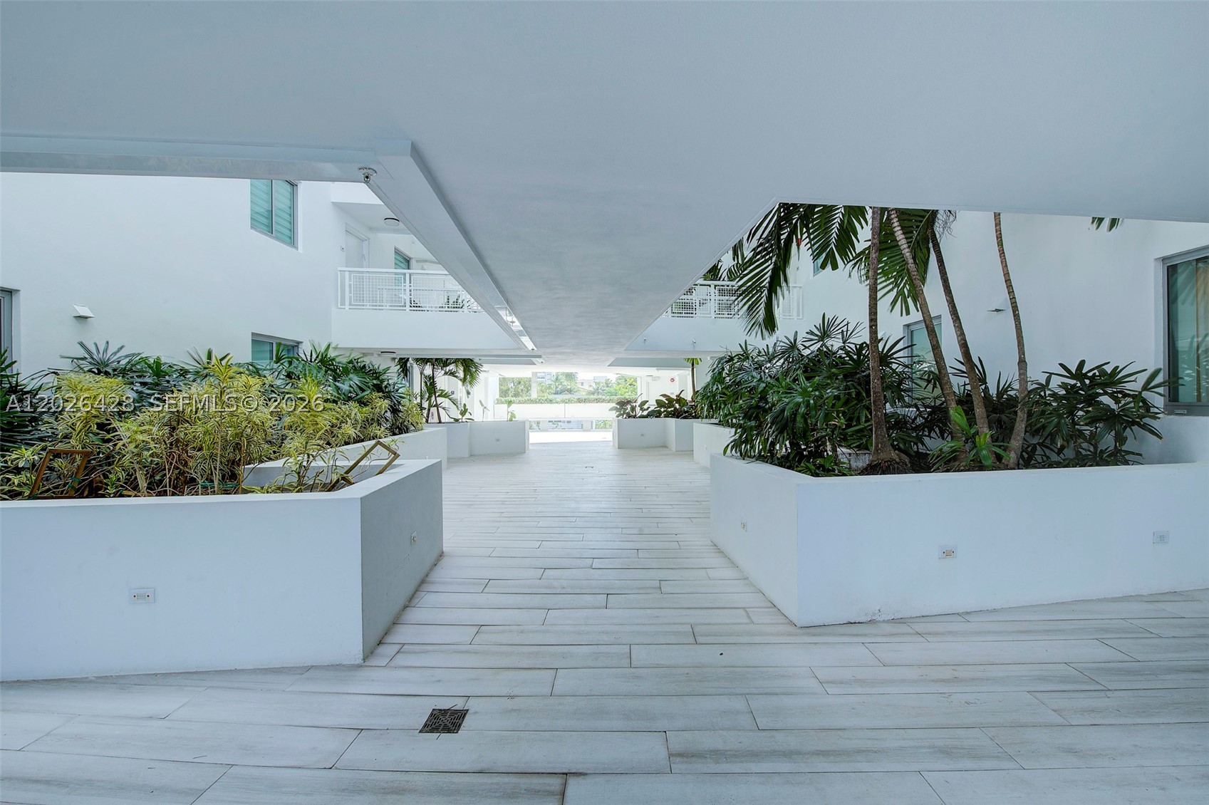 image The Palms21