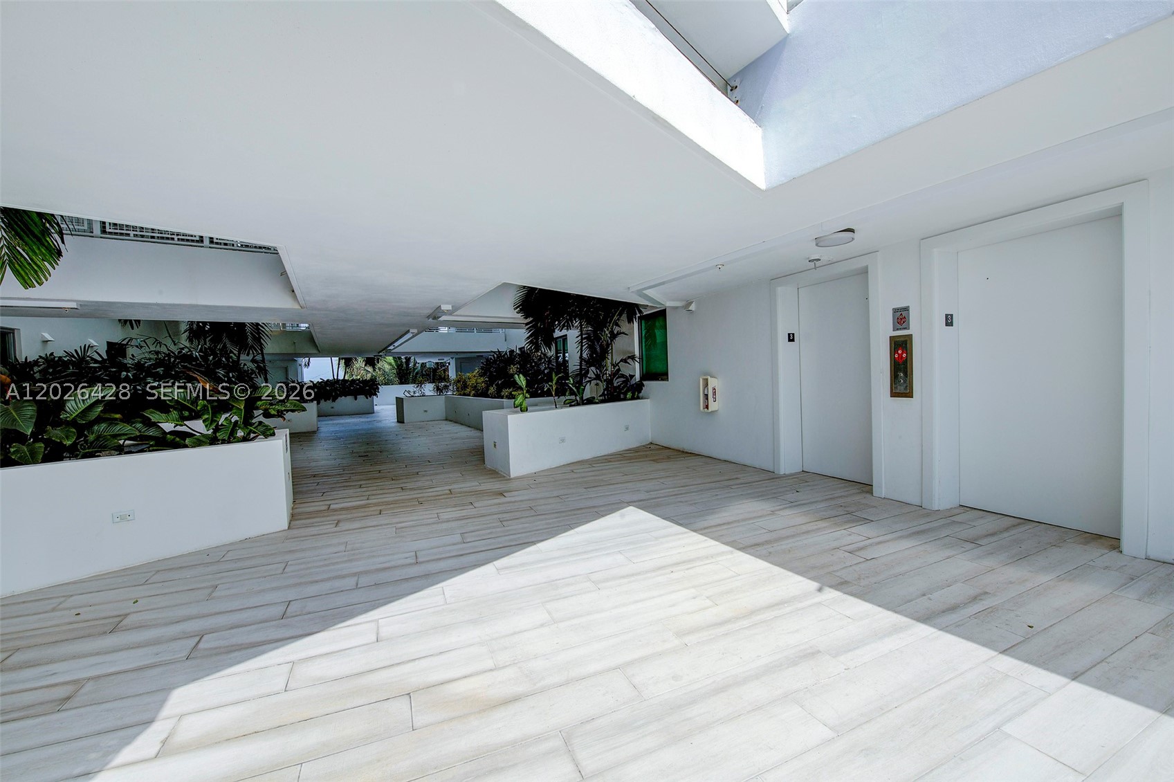 image The Palms22