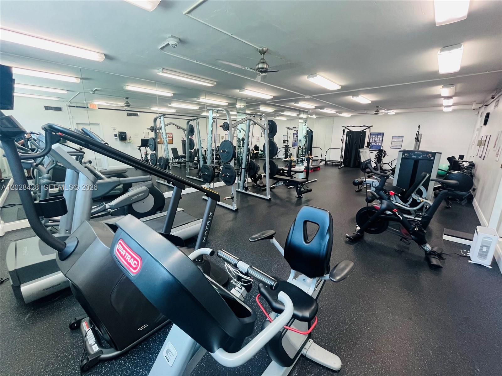 2655 Collins Ave #602 Miami Beach, FL 33140