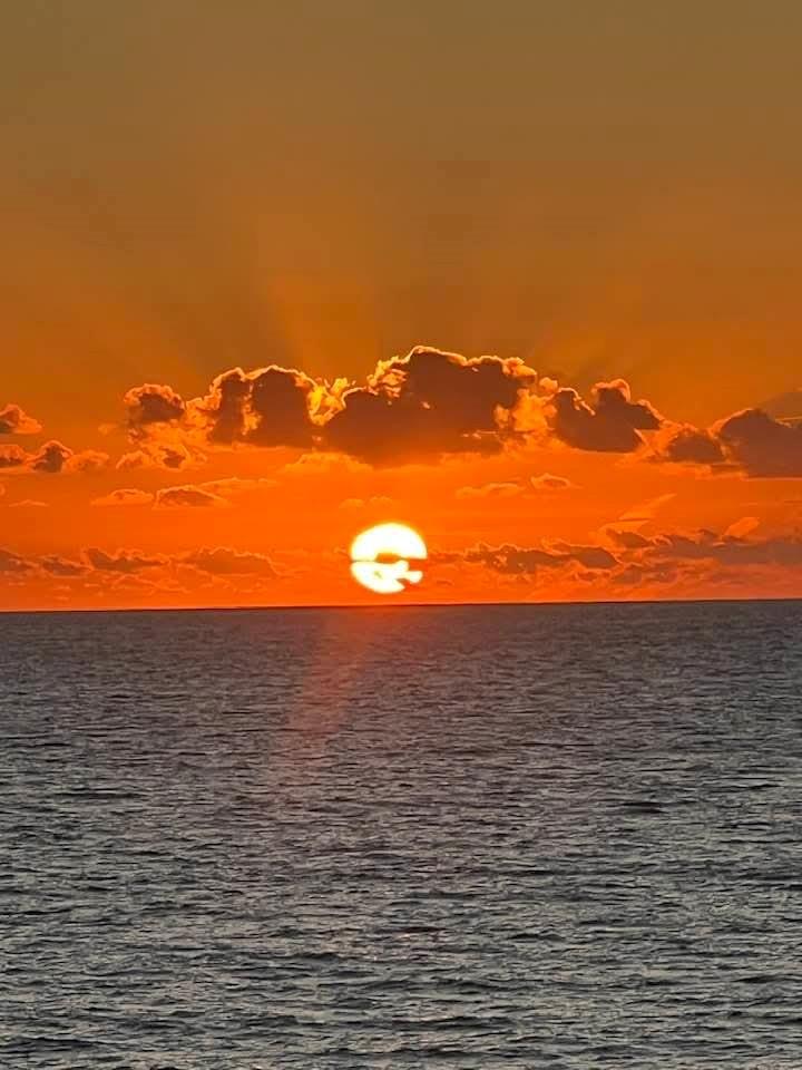 1161 Hillsboro Mile #506