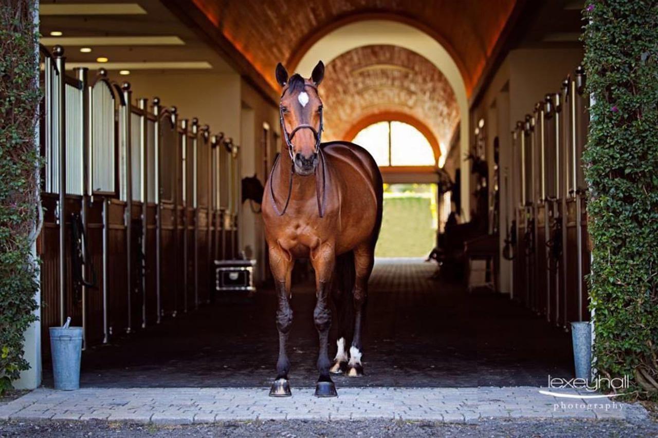 3238 Grand Prix Farms Dr Wellington, FL 33414