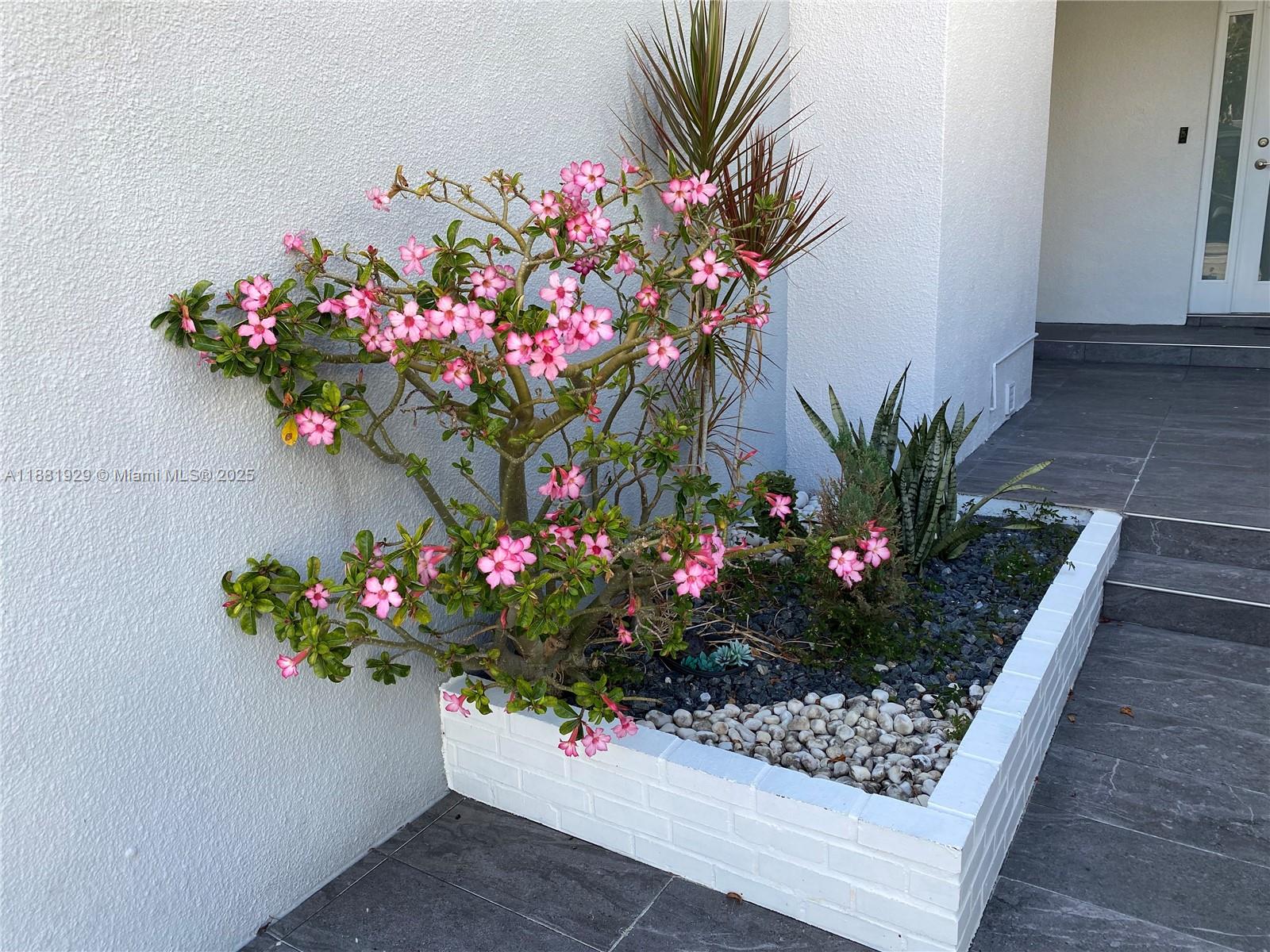 231 Poinciana Dr Sunny Isles Beach, FL 33160