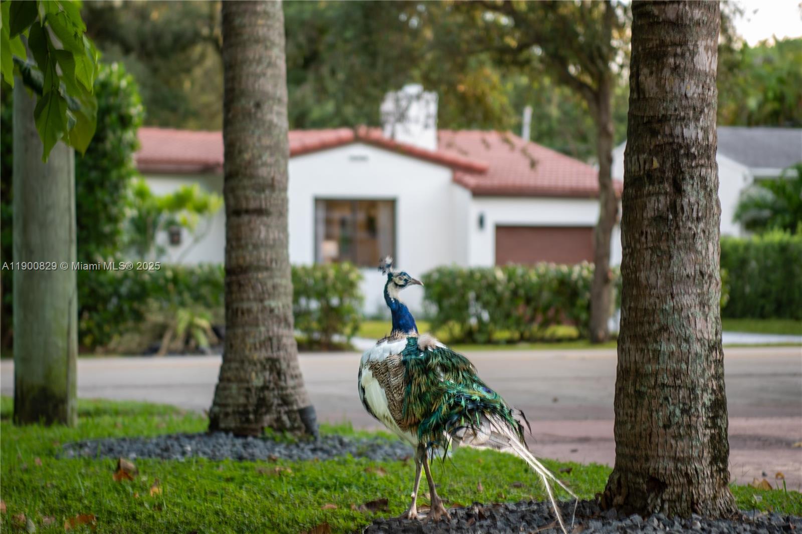 360 NE 87th St El Portal, FL 33138