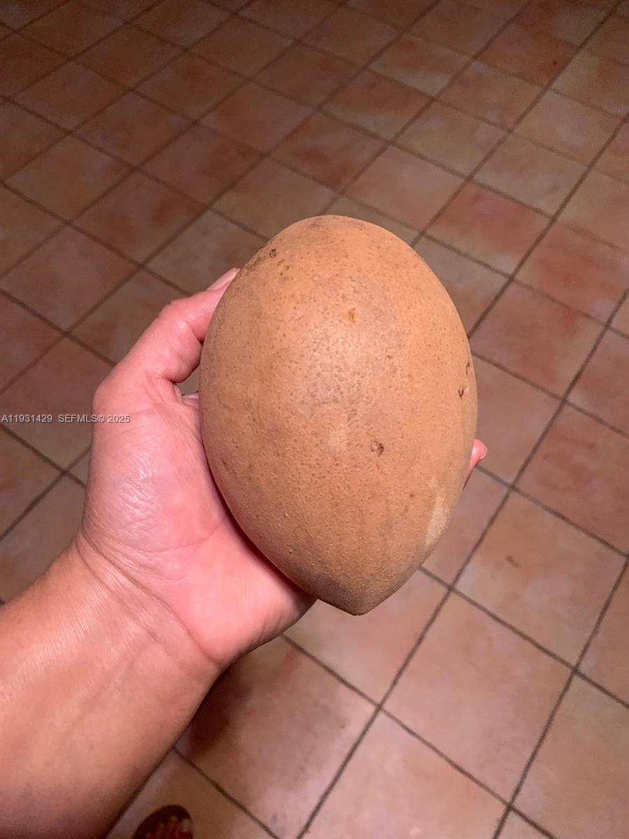 10955 SW 56th St Miami, FL 33165