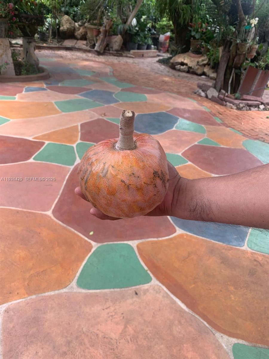 10955 SW 56th St Miami, FL 33165