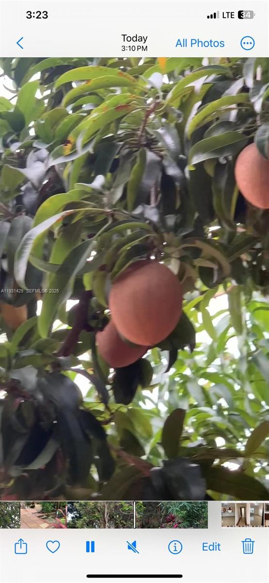 10955 SW 56th St Miami, FL 33165