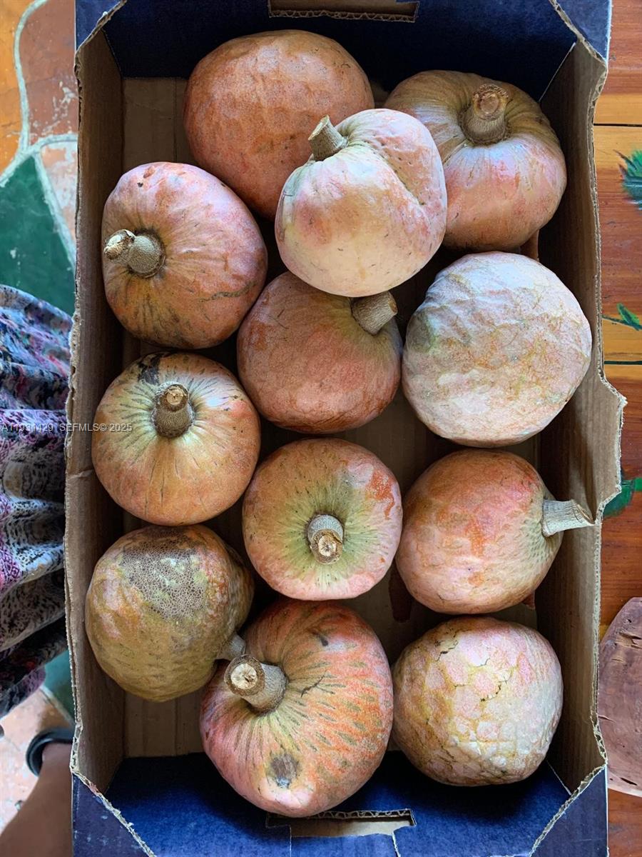 10955 SW 56th St Miami, FL 33165