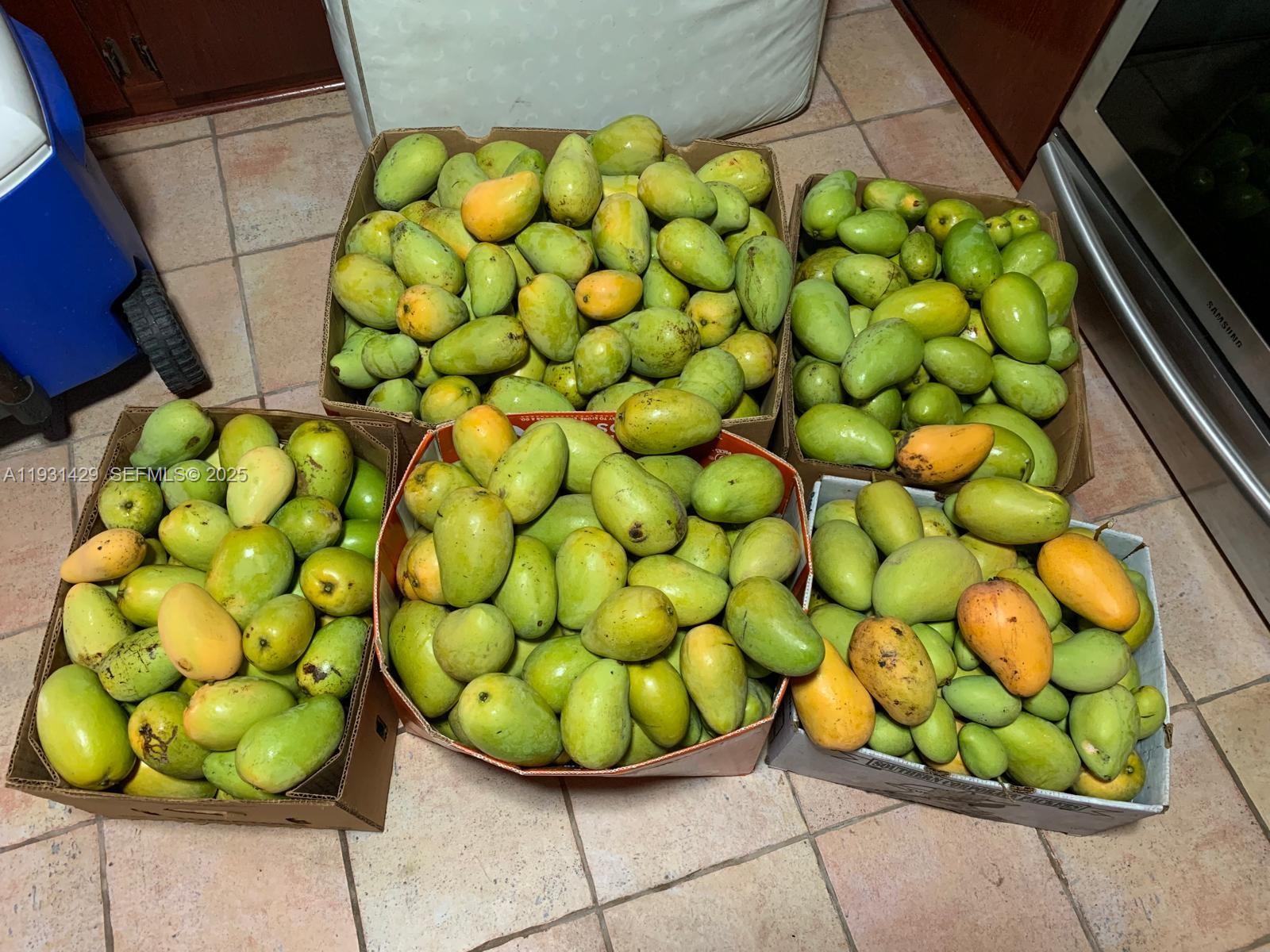 10955 SW 56th St Miami, FL 33165