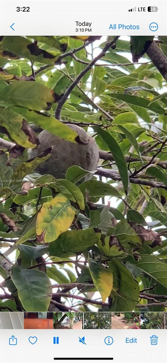 10955 SW 56th St Miami, FL 33165