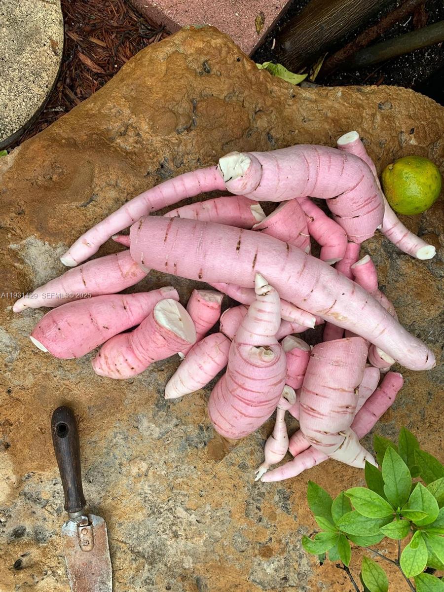 10955 SW 56th St Miami, FL 33165