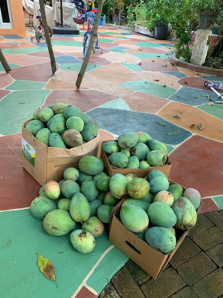 10955 SW 56th St Miami, FL 33165