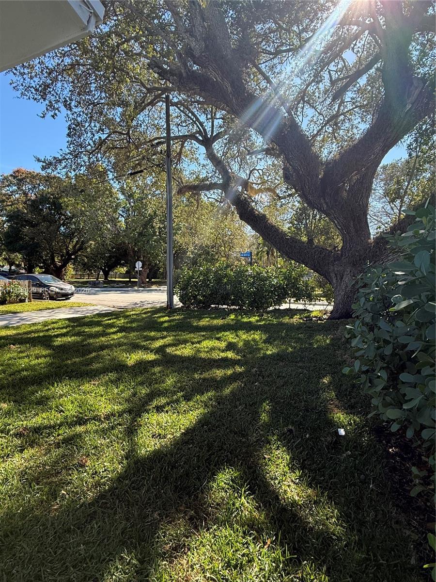 6091 SW 64th Ter South Miami, FL 33143